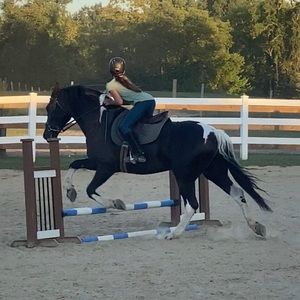 Meet your Posher, Paige